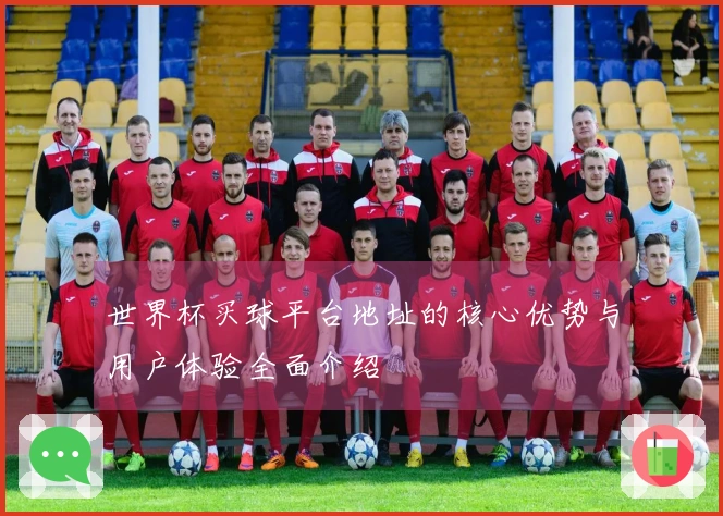 世界杯买球平台地址的核心优势与用户体验全面介绍