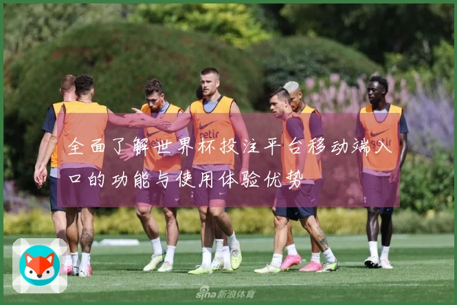 全面了解世界杯投注平台移动端入口的功能与使用体验优势