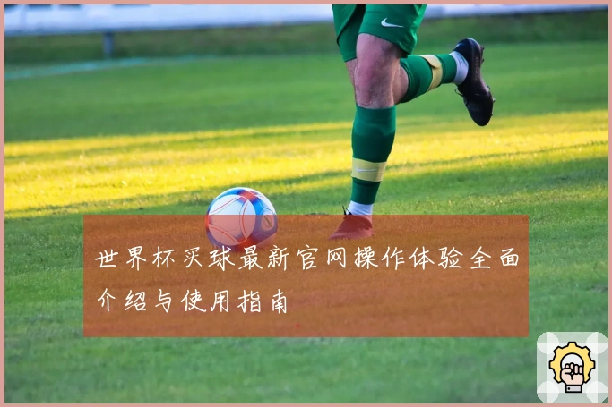 世界杯买球最新官网操作体验全面介绍与使用指南