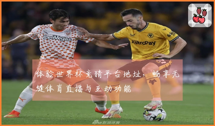 体验世界杯竞猜平台地址，畅享无缝体育直播与互动功能