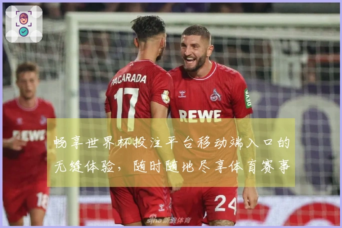 畅享世界杯投注平台移动端入口的无缝体验,随时随地尽享体育赛事直播