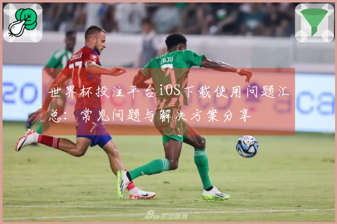 世界杯投注平台iOS下载使用问题汇总:常见问题与解决方案分享