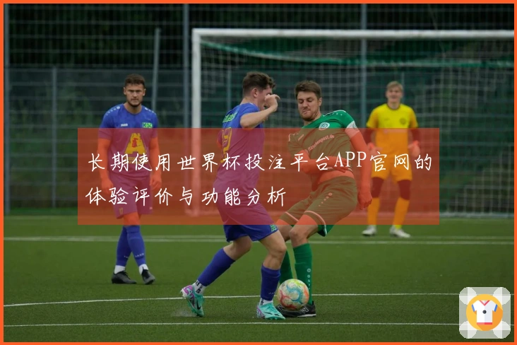 长期使用世界杯投注平台APP官网的体验评价与功能分析