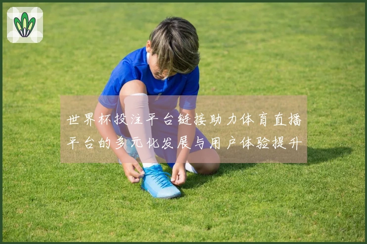 世界杯投注平台链接助力体育直播平台的多元化发展与用户体验提升