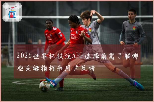 2026世界杯投注APP选择前需了解哪些关键指标和用户反馈