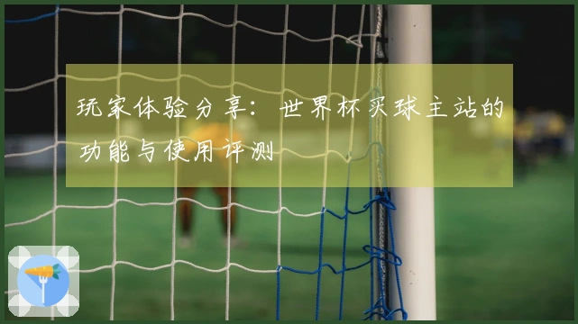 玩家体验分享：世界杯买球主站的功能与使用评测