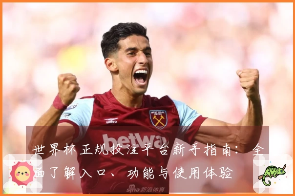世界杯正规投注平台新手指南：全面了解入口、功能与使用体验