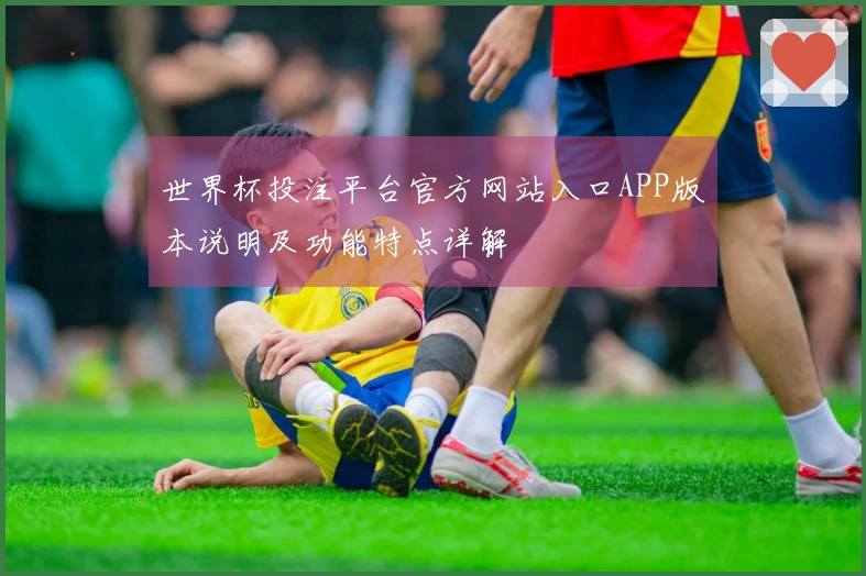世界杯投注平台官方网站入口APP版本说明及功能特点详解