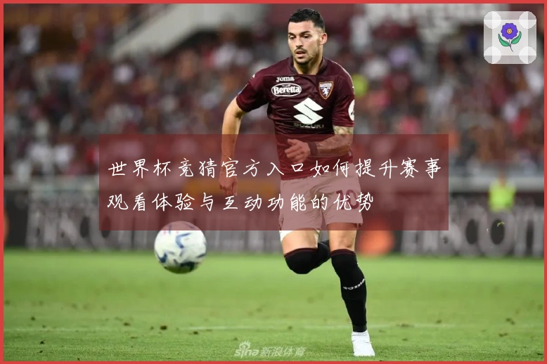 世界杯竞猜官方入口如何提升赛事观看体验与互动功能的优势