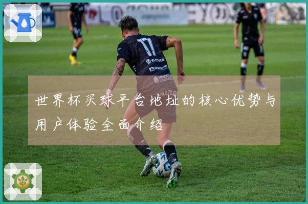 世界杯买球平台地址的核心优势与用户体验全面介绍