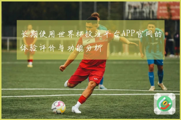 长期使用世界杯投注平台APP官网的体验评价与功能分析